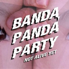 VJ podrška Banda Panda žurci